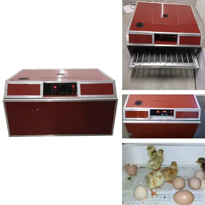 Automatic 100 Egg Incubator 150W with Digital Control